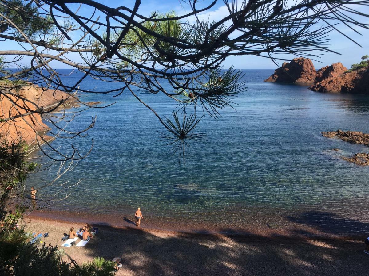 Saint-Raphaël "Les Alizes" Cote Jardin Proche Bord De Mer מראה חיצוני תמונה