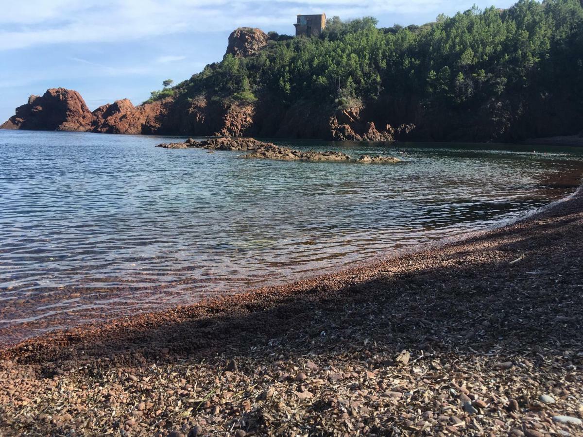 Saint-Raphaël "Les Alizes" Cote Jardin Proche Bord De Mer מראה חיצוני תמונה